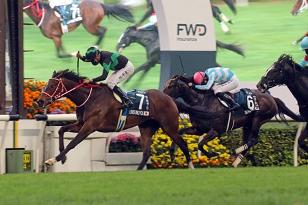 Loves Only You wins the FWD QEII Cup at Sha Tin Racecourse