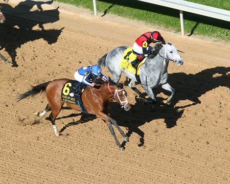 By My Standards (No. 6) prevails over Rushie in Oaklawn Mile at Oaklawn Park