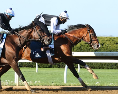 Highly Motivated Works Ahead of Kentucky Derby - BloodHorse