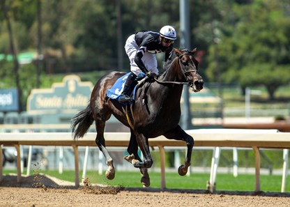 Tizamagician - Horse Profile - BloodHorse