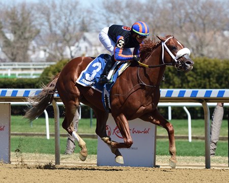 Drain the Clock wins the Bay Shore Stakes at Aqueduct Racetrack