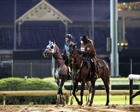 Essential Quality walks off the track following his breeze April 24 at Churchill Downs