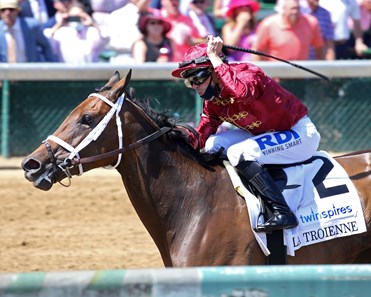 Shedaresthedevil - Horse Profile - BloodHorse