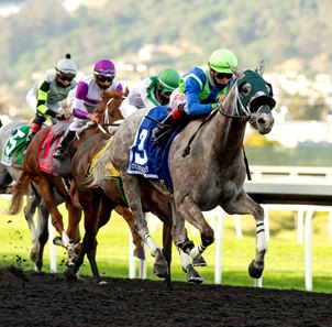 Capacity Field In Oceanside For Del Mar S Opening Day Bloodhorse