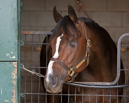 Mighty Heart last April at Keeneland