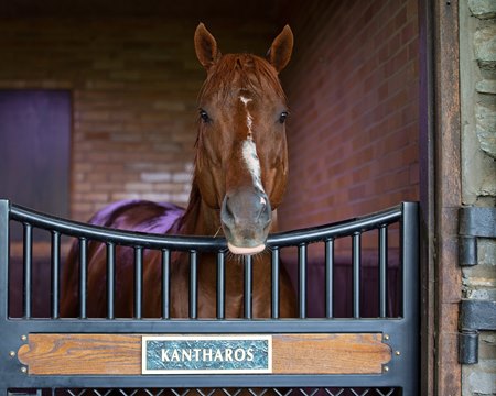 Kantharos