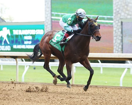 Averly Jane wins her debut April 15 for Hat Creek Racing and Wesley Ward at Keeneland 