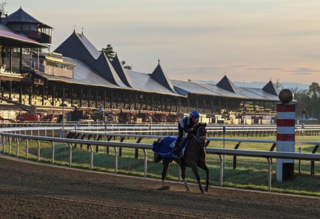 A horse trains at Saratoga Race Course