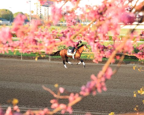 KHRC to Consider New Policies on Workout Reporting KHRC to Consider New Policies on Workout Reporting