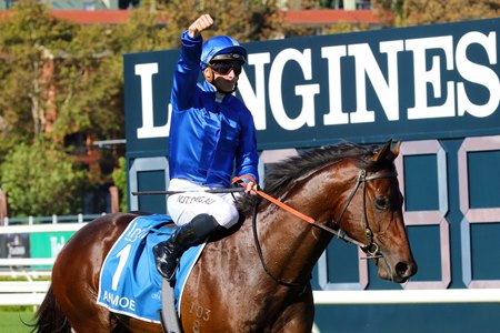 Anamoe after winning the 2021 Sires' Produce Stakes at Randwick