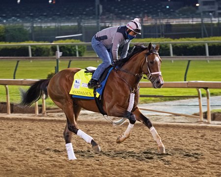 Mandaloun trains leading up to the 2021 Kentucky Derby at Churchill Downs