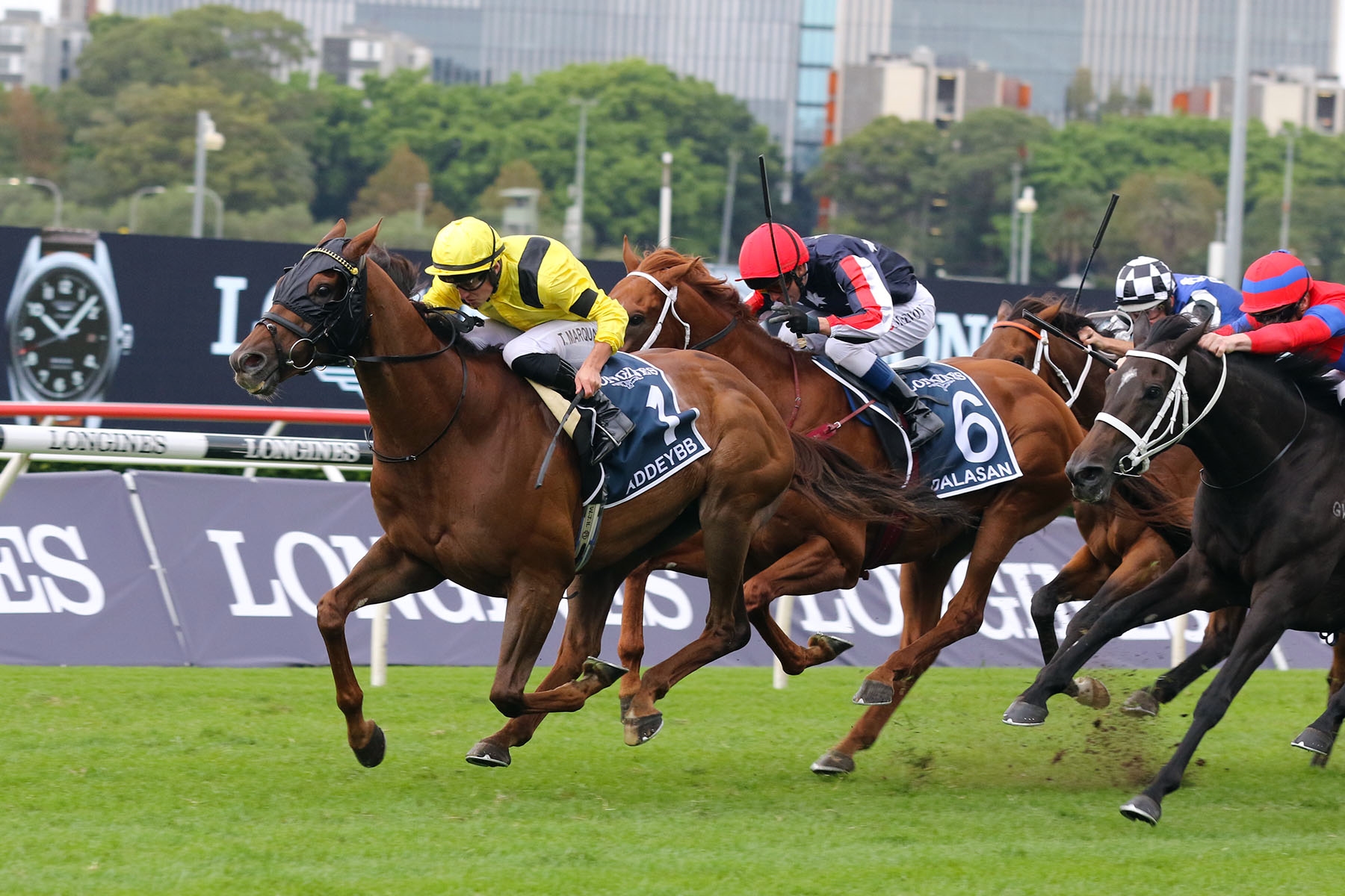 Addeybb Repeats in Australia s Queen Elizabeth Stakes BloodHorse