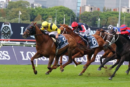 Addeybb Repeats in Australia's Queen Elizabeth Stakes - BloodHorse