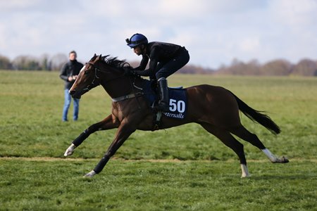 The Night of Thunder filly consigned as Lot 50 breezes two furlongs in :21.34 during the Tattersalls Craven Breeze-Up Sale under tack show