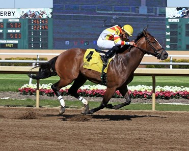 Serena Beck - Horse Profile - BloodHorse