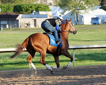 Monomoy Girl - Horse Profile - BloodHorse