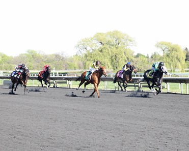 Smokin' Jay - Horse Profile - BloodHorse