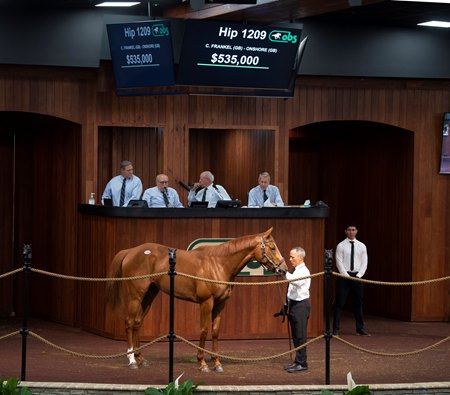 The Frankel colt consigned as Hip 1209 in the ring at the OBS Spring Sale 