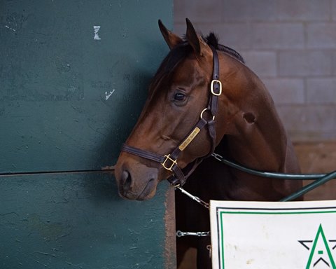 Life Is Good Breezes, Goes From Baffert to Pletcher - BloodHorse