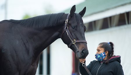 Medina Spirit will be permitted to run in the Preakness Stakes at Pimlico Race Course