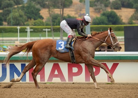 The Chosen Vron strolls under the wire a comfortable winner of the Lazaro Barrera Stakes at Santa Anita Park