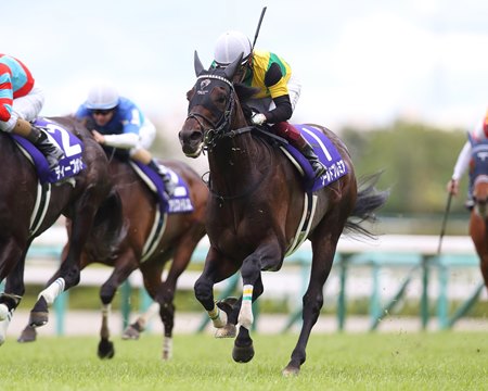World Premier wins the Tenno Sho (Spring) at Hanshin Racecourse