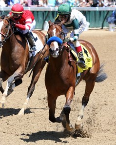 Gamine - Horse Profile - BloodHorse