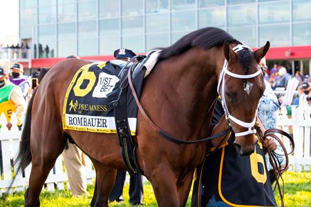 Rombauer before his win in the Preakness Stakes at Pimlico Race Course