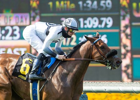 Going Global rolls in the Honeymoon Stakes at Santa Anita Park