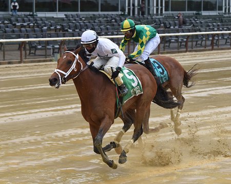 Sainthood wins the Pennine Ridge Stakes at Belmont Park