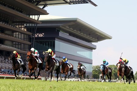 Racing at Tokyo Racecourse