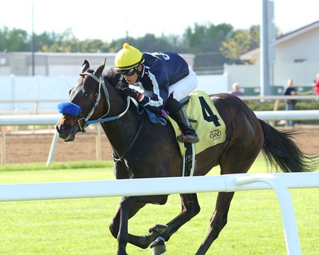 Book of Romeo breaks his maiden at Indiana Grand