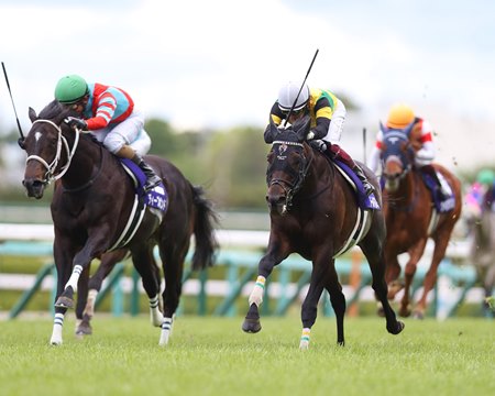 Deep Bond (left) finishes second to World Premiere in the Tenno Sho at Hanshin Racecourse 