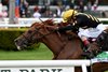 Channel Cat wins the 2021 Man o' War Stakes at Belmont Park
