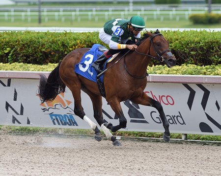 Pappacap breaks his maiden at Gulfstream Park