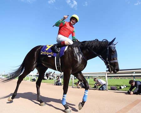 Uberleben after her win in the Yushun Himba at Tokyo Racecourse