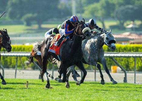 Longshot Maxim Rate Breaks Through in Gamely - BloodHorse