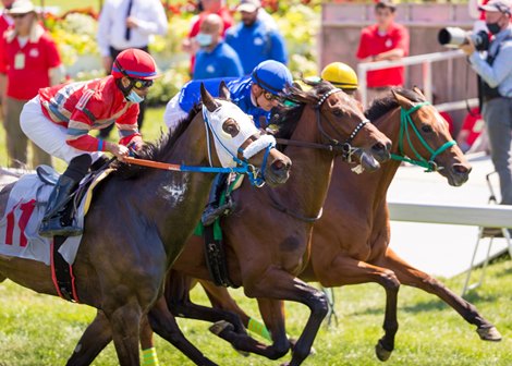 Pimlico Cancels July 17 Card Due To Severe Weather Bloodhorse