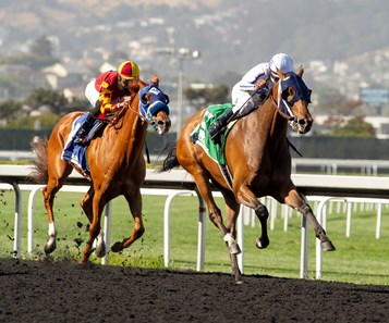 armed guard alvarado jockey bloodhorse