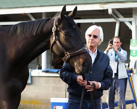Medina Spirit with Bob Baffert the morning after the 2021 Kentucky Derby at Churchill Downs