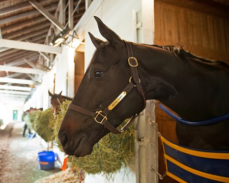 Medina Spirit at Churchill Downs