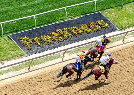 Racing at Pimlico Race Course