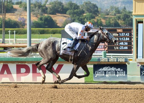 Crazy Beautiful All Class In Summertime Oaks Bloodhorse