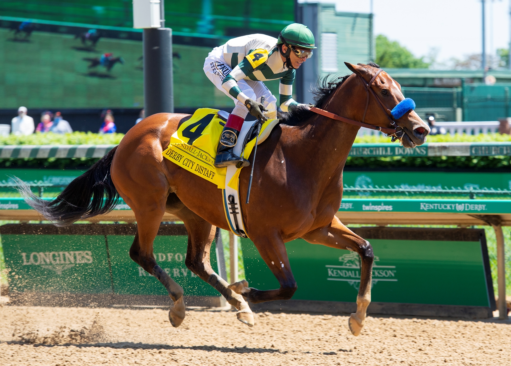 Gamine a Standout in Great Lady M Field BloodHorse