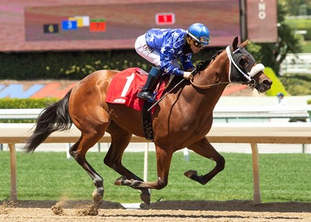 Royal O'Haigain breaks her maiden at Santa Anita Park