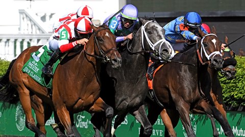 Strong Field Of 10 Ready To Take Manhattan Bloodhorse