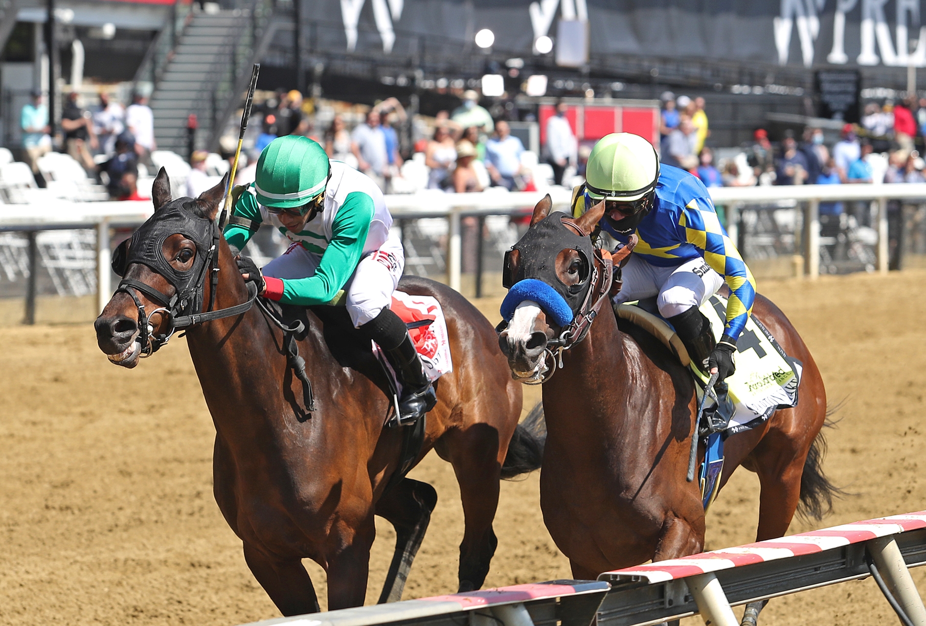 The King Cheek - Horse Profile - BloodHorse