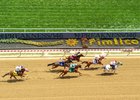 2021 Preakness Scene