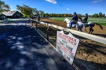 A racehorse and pony on the newly renovated Oklahoma Training Track surface at Saratoga Race Course May 12