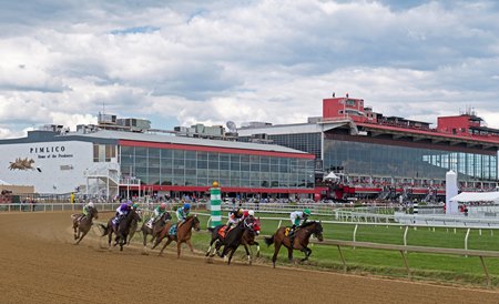 Racing at Pimlico Race Course